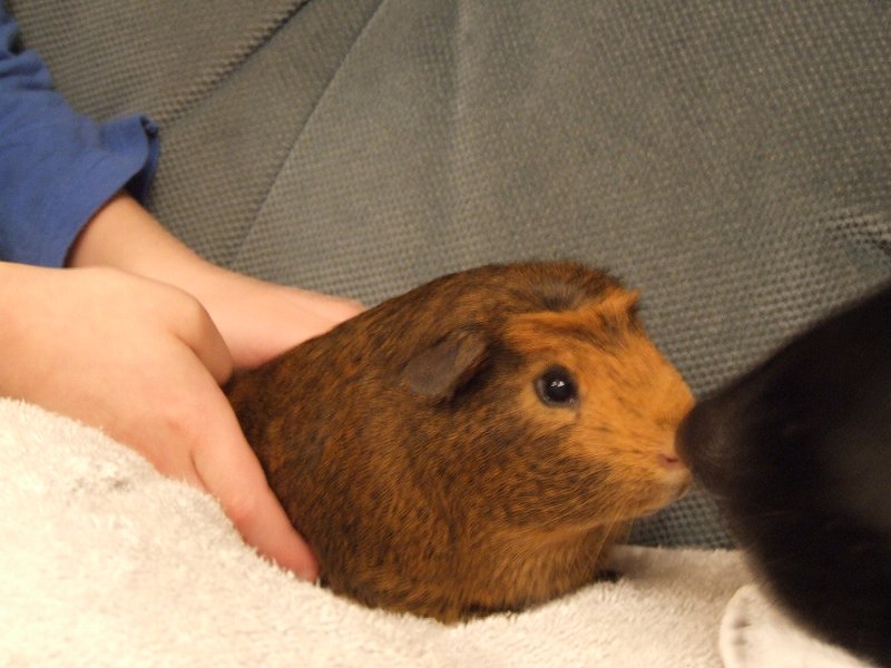 2009-01-28 ~ 2DSCF0573