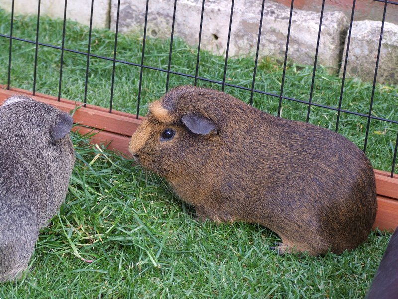 2009-04-05 ~ 2DSCF1571