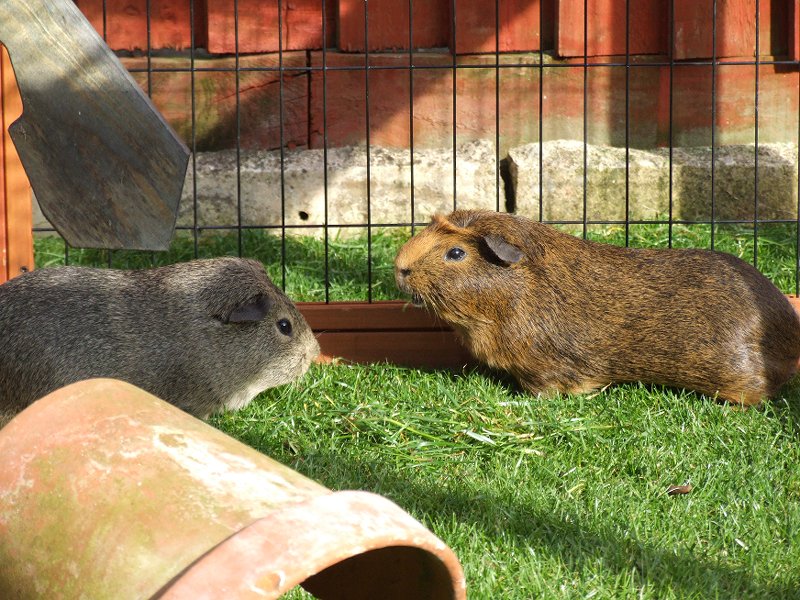 2009-04-05 ~ 2DSCF1595