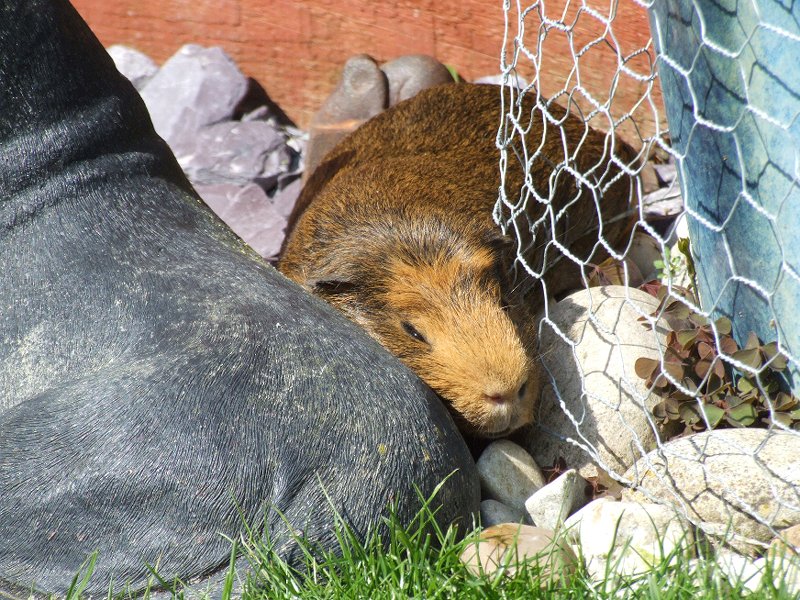 2009-04-19 ~ 2DSCF1747