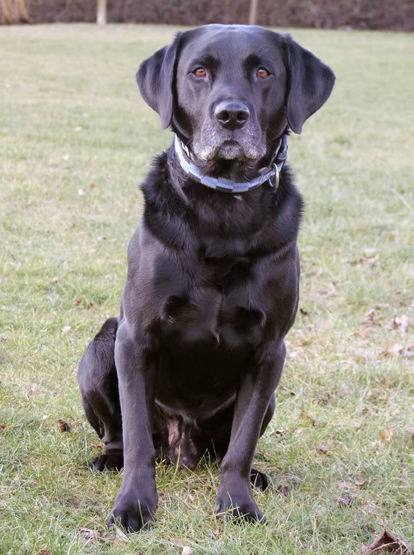 2010-03-04 ~ S2DSCF1865-Crop ped