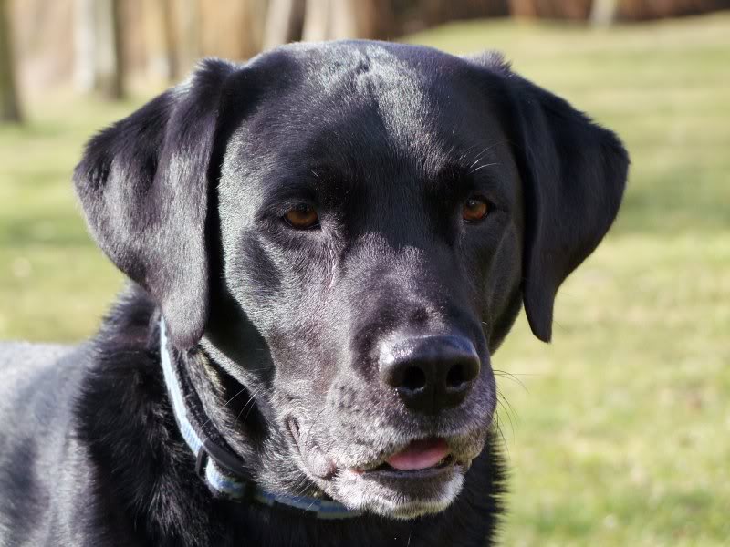 2010-03-04 ~ S2DSCF1875-Smal l