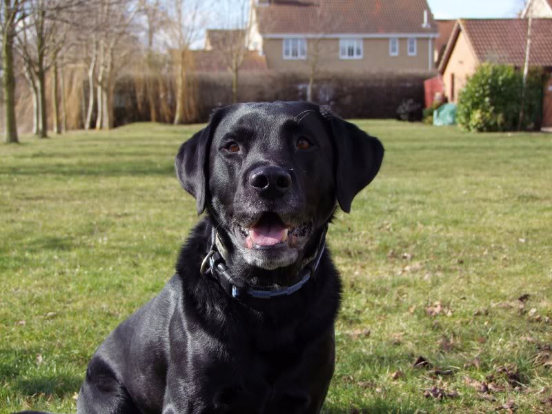 2010-03-04 ~ S2DSCF1883-Smal l