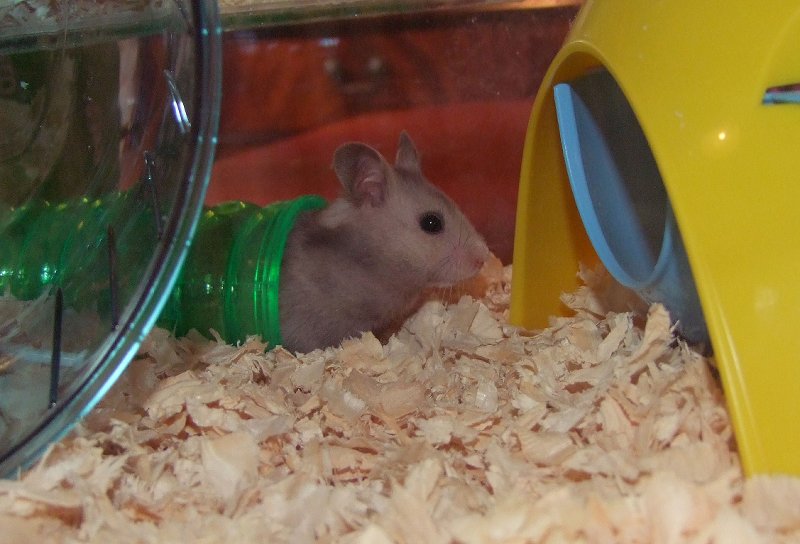 2011-10-16 ~ S2DSCF7105 - Cropped