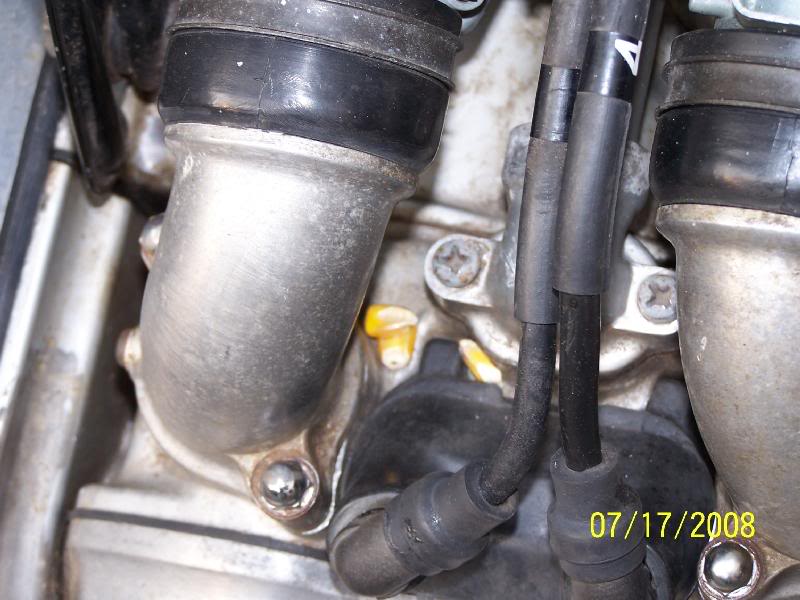 Another shot of corn -