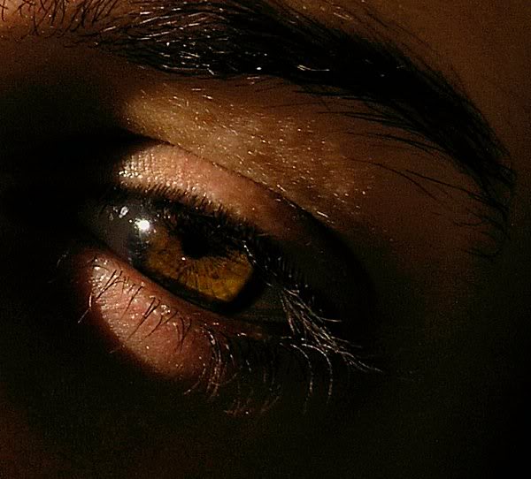 4207SueSunsetEy es18