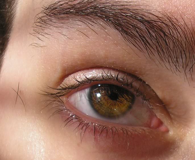 4207SueSunsetEy es22