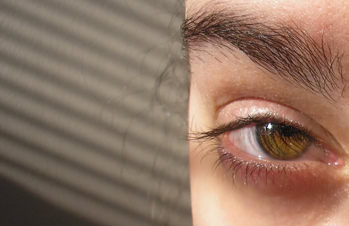 4207SueSunsetEy es24