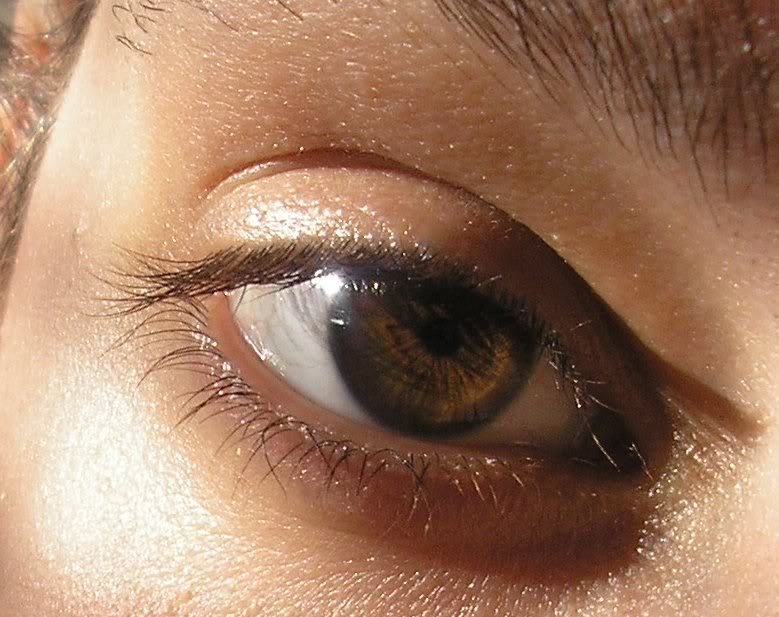 4207SueSunsetEy es27