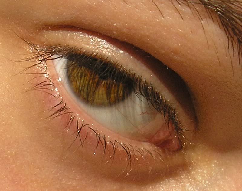 4207SueSunsetEy es35