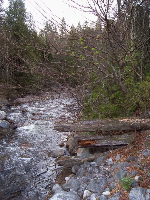 Bridge abutment from old logging road
