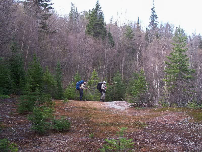 Michael and Josh check out an old decking area