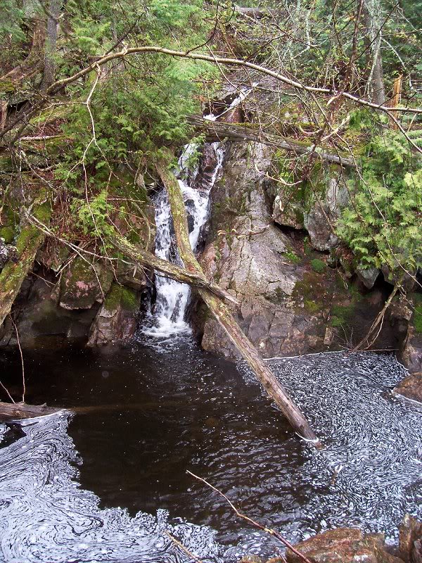 One of many small cascades that joined Coldwater Creek