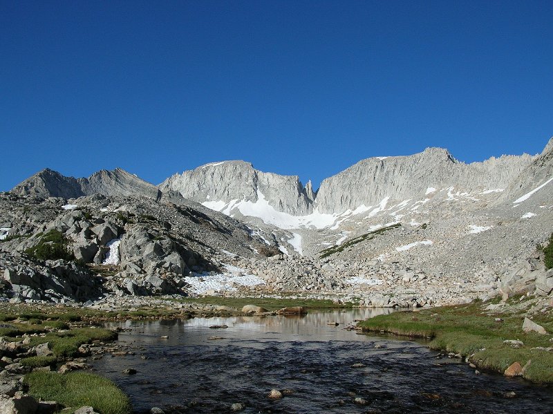 Petit Griffon and Abbot