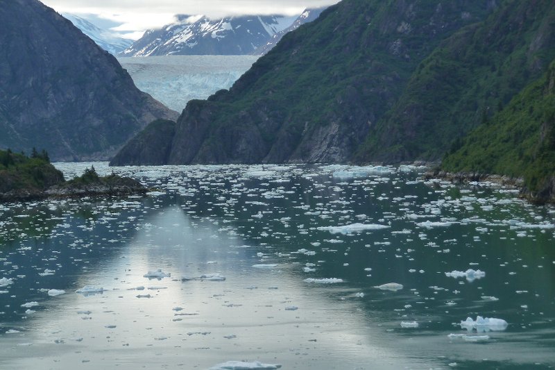 Viewing Sawyer Glacier, Tracy Arm.