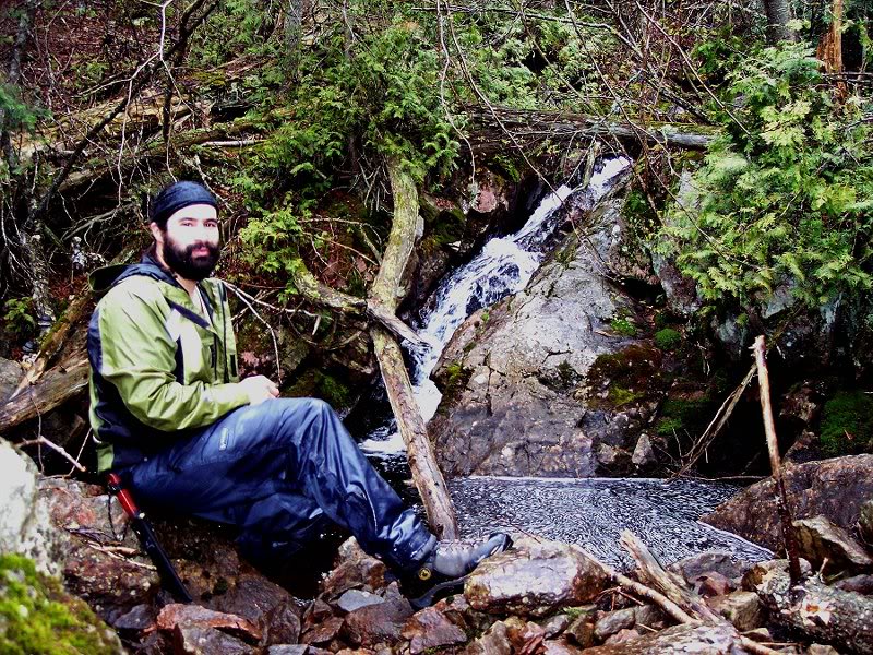 BigFish Enjoying a Snack Break at Water Fall Feeding Co...