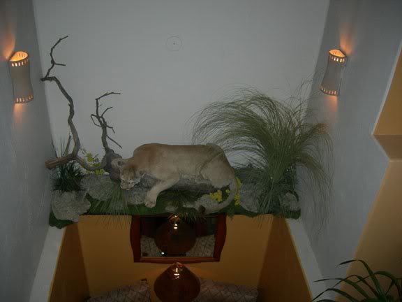 coloradotrip200 8 196