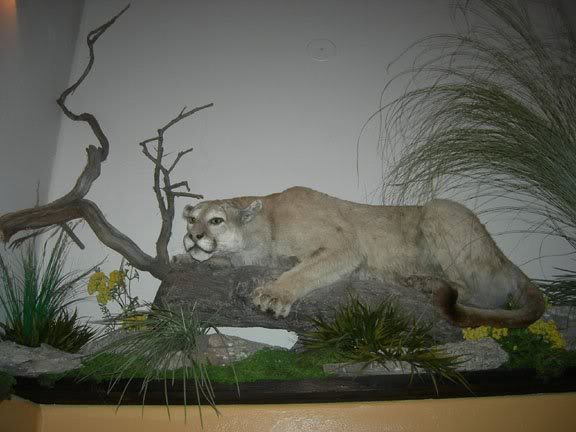 coloradotrip200 8 197