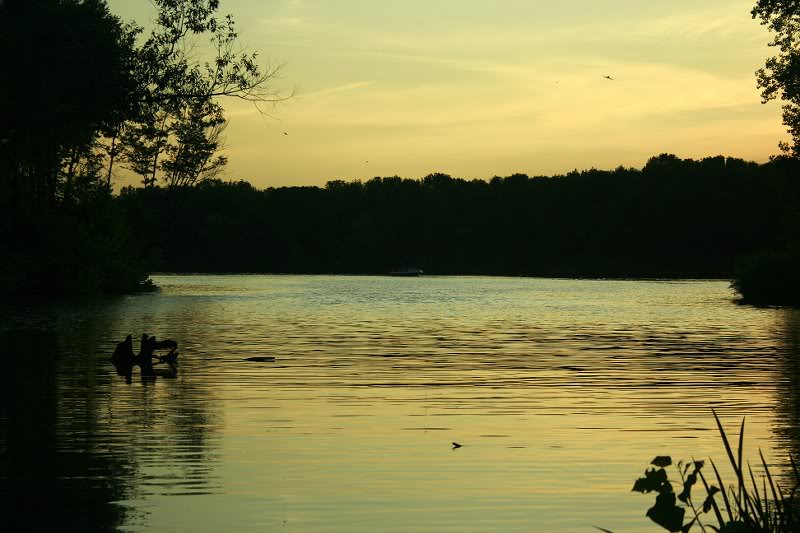 Lake (6)