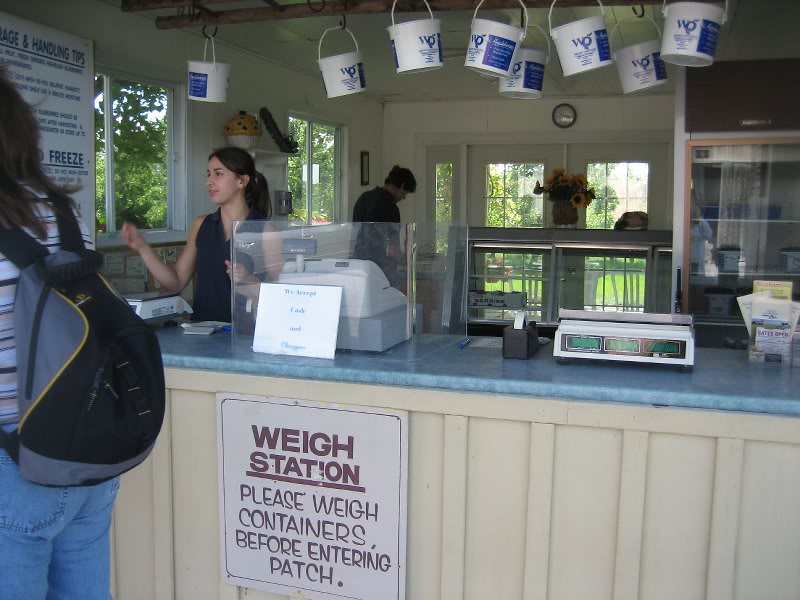 The blueberry hut _0232