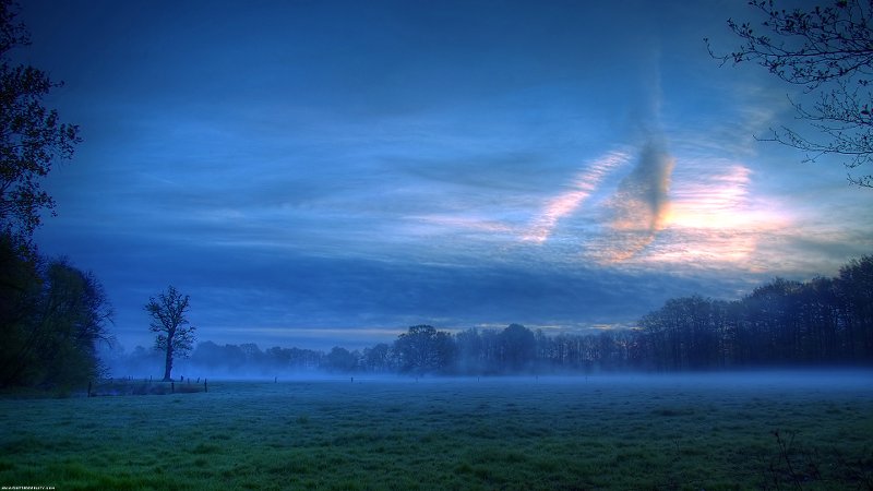 Full HD Wallpapers (14)