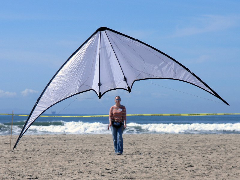 Donna Houchins & Her Monochrome Gemini, Huntington Beac...