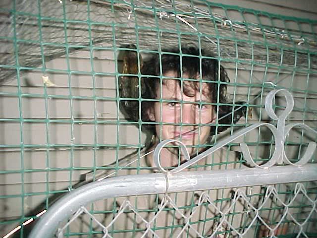 Andrew and shoulder chickens