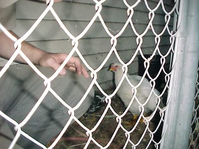 Meanwhile, Bianca likes the ground