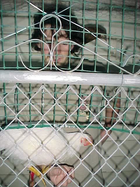 So, she gets picked up...