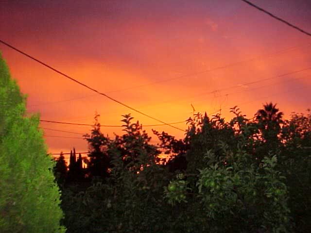 Sunset over the apples