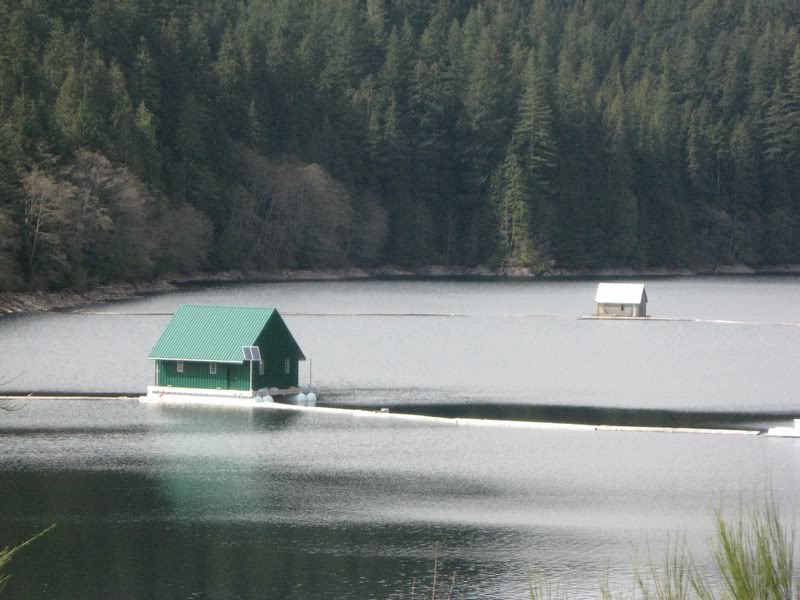 Capilano Lake (2)