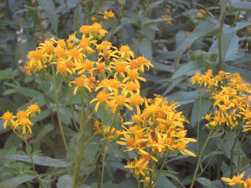 Everywhere you looked