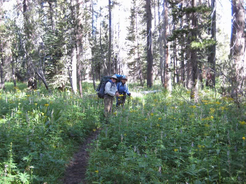 Not just here and there,