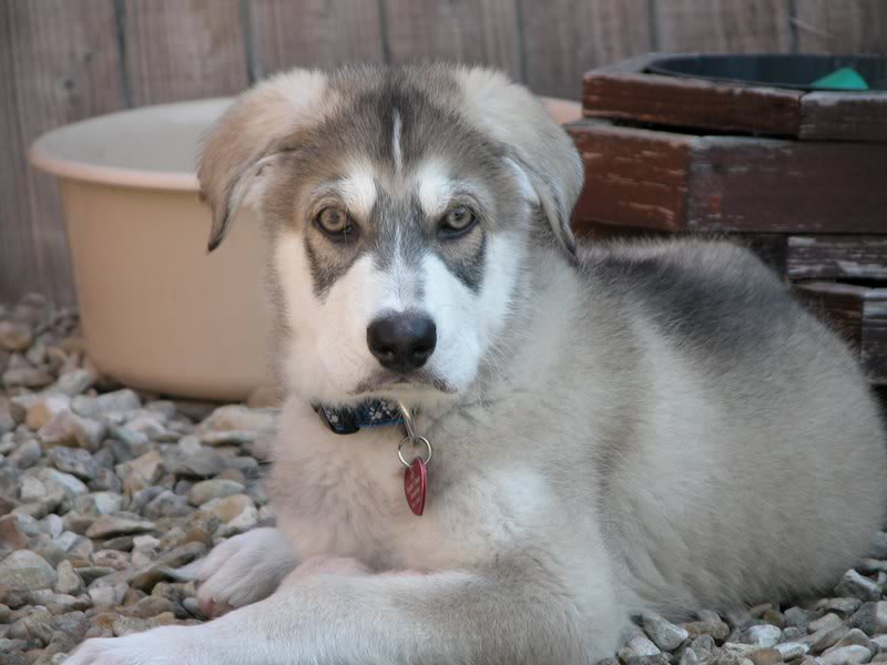 0128 Zeus 01.05.2007