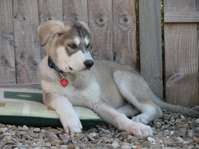 0150 Zeus 01.05.2007