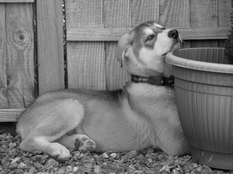 0151 Zeus 01.05.2007