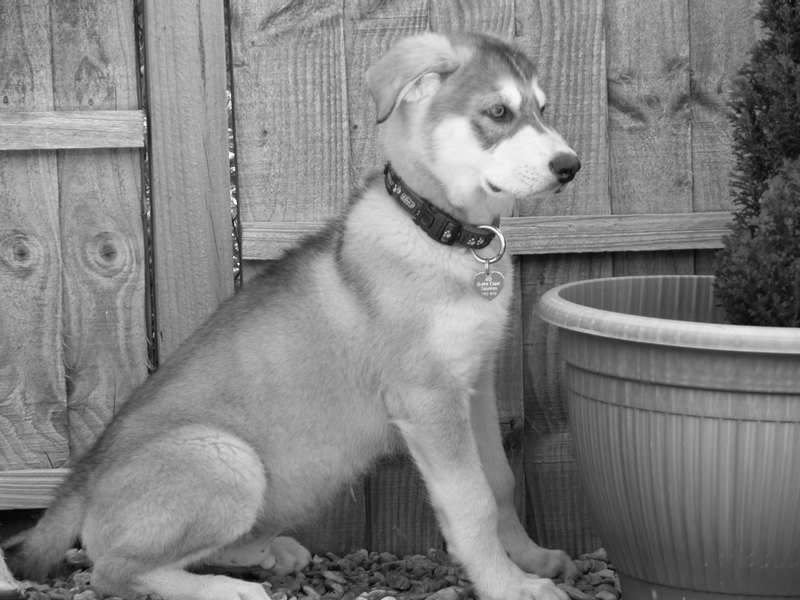 0152 Zeus 01.05.2007