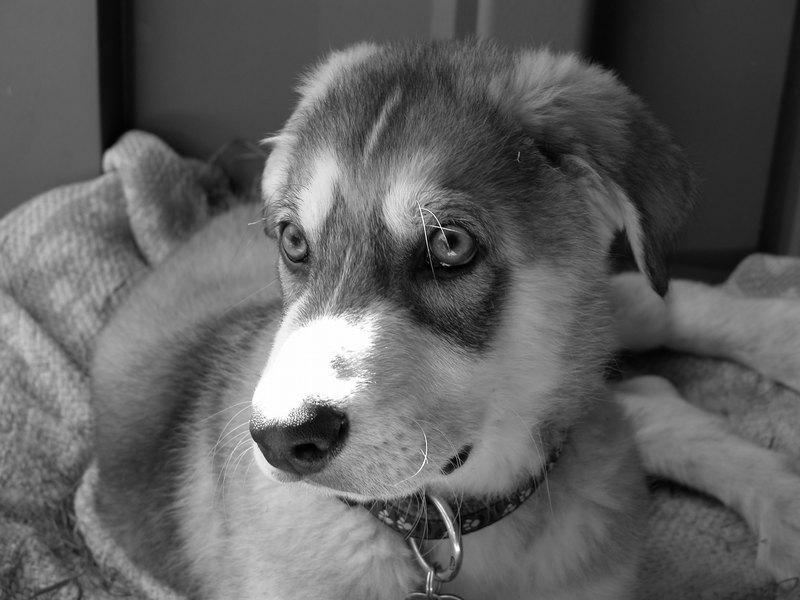 0153 Zeus 01.05.2007