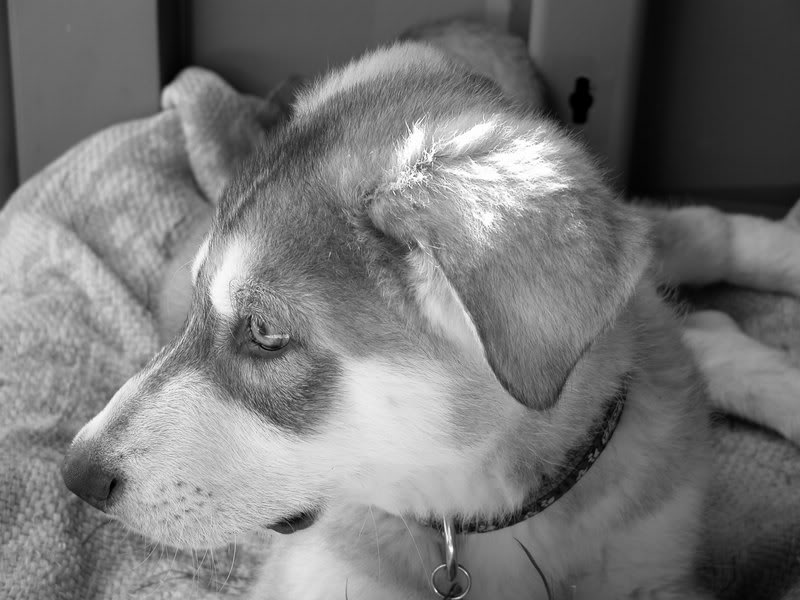 0154 Zeus 01.05.2007