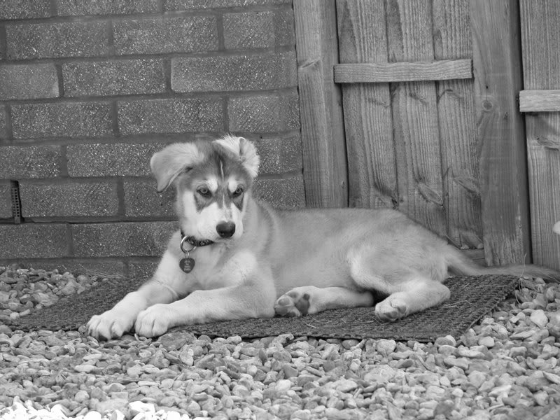 0157 Zeus 01.05.2007