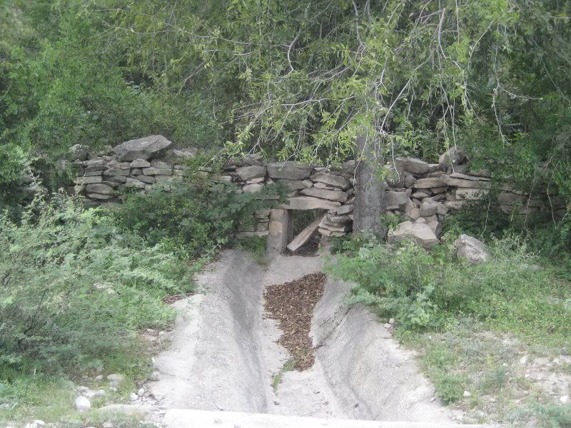 Entrada a la arboleda 008