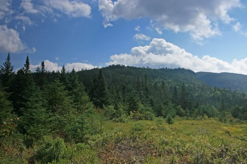 04-VIEW FROM NEW LEANTO
