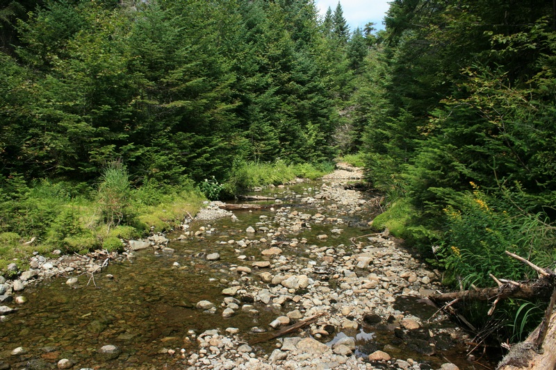 08-START OF HERBERT BROOK