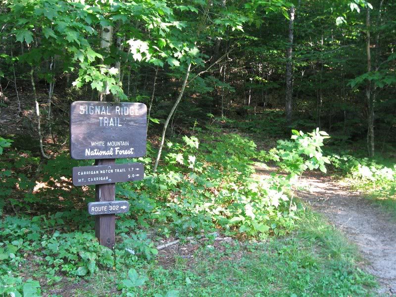 Follow Signal Ridge Trail all the way there