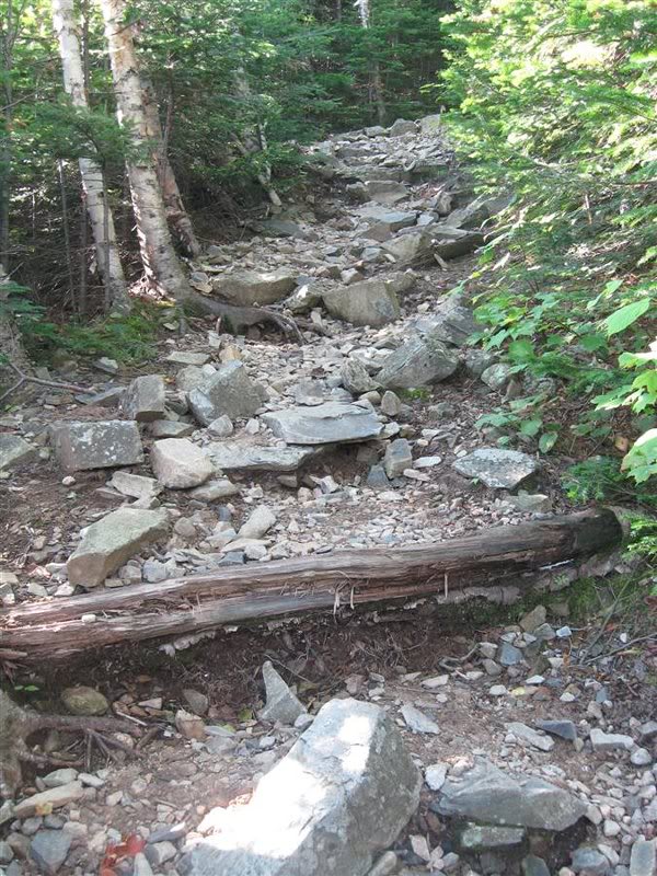 Signal Ridge Trail - steep and loose section