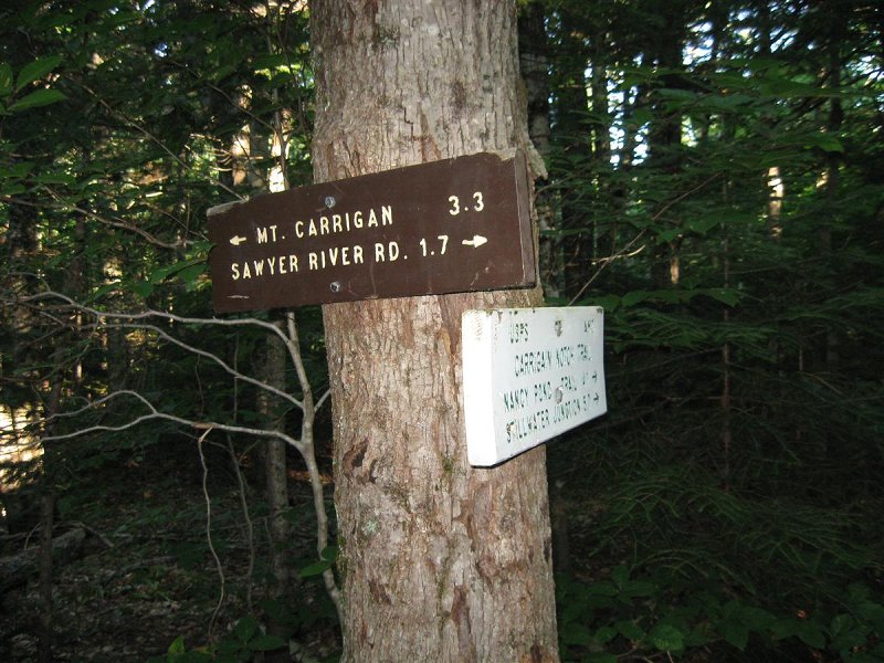 Stay left on Signal Ridge Trail