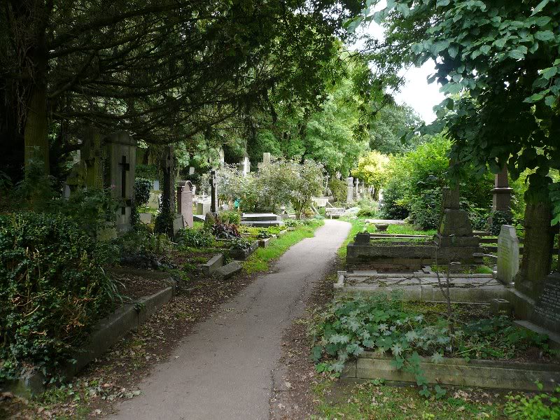 It feels like being in a woodland