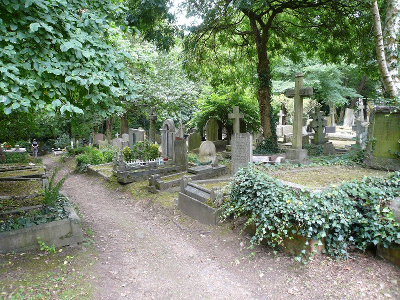 The first path we take leads us to the overgrown part