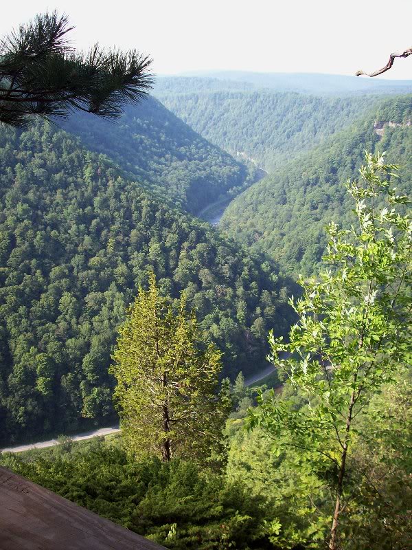 From lookout at Barbour Rock