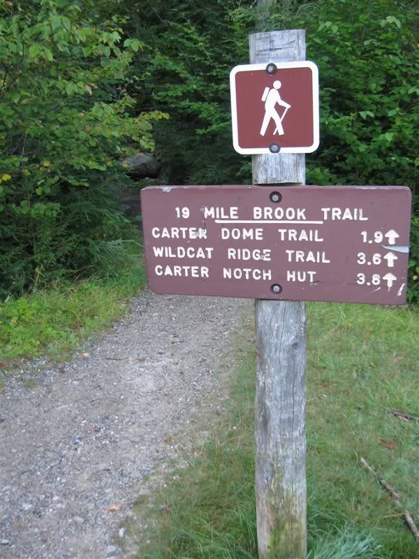19 Mile Brook Trail - Start hiking here